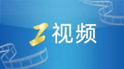 郑丽文上任后最新民调：国民党支持度增3.9％，蓝+白胜绿近10%